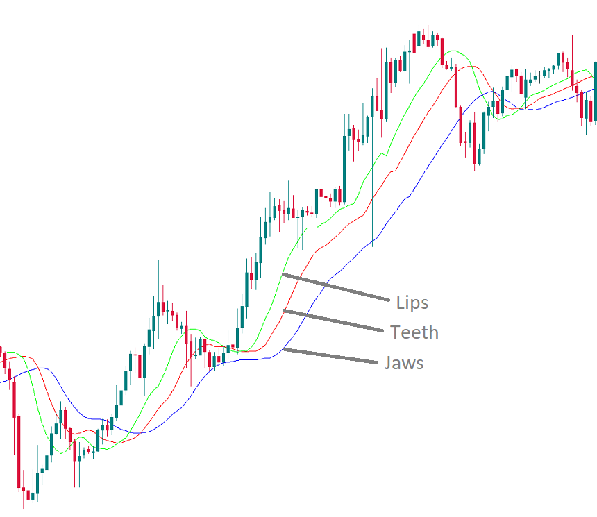 Alligator's Jaw, Teeth, Lips lines on the candlestick chart