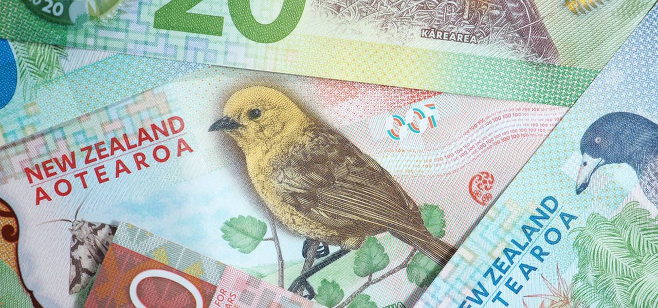 What do the fundamentals say for NZD/USD?
